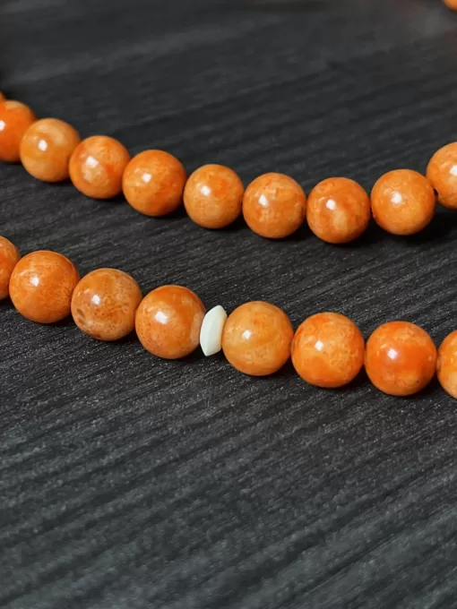 Premium Orange Marjan Coral & Tamarind Wood Sufi Dervish Tijani Tasbih - F716EE5A 7FC6 4391 9AC6 D042AB8D7791 scaled - SufiCo